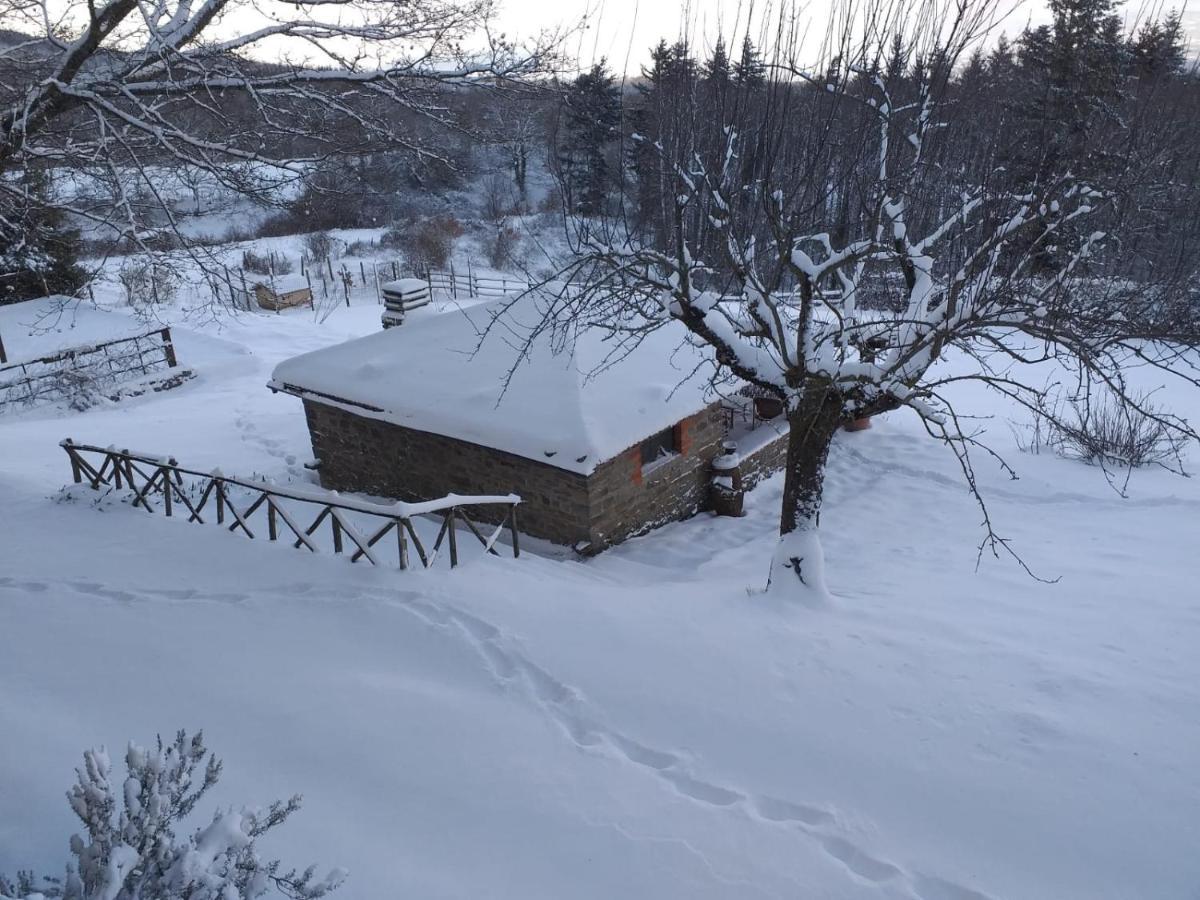 Casina Della Burraia Villa Subbiano Eksteriør bilde